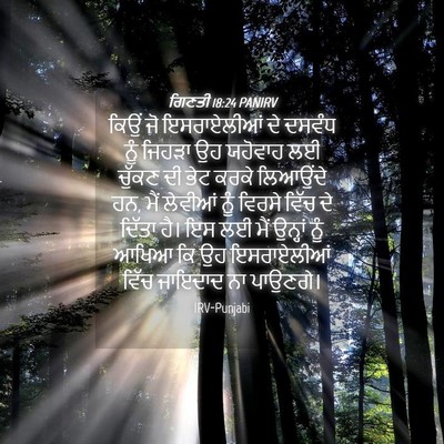 Picture 04 - ਗਿਣਤੀ 18:24 PANIRV - ਕਿਉਂ ਜੋ ਇਸਰਾਏਲੀਆਂ - Bible Verse Picture