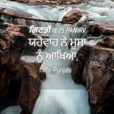 Picture 04 - ਗਿਣਤੀ 18:25 PANIRV - ਯਹੋਵਾਹ ਨੇ ਮੂਸਾ ਨੂੰ - Bible Verse Picture