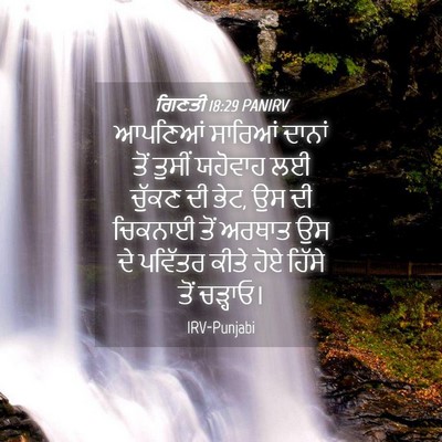 Picture 04 - ਗਿਣਤੀ 18:29 PANIRV - ਆਪਣਿਆਂ ਸਾਰਿਆਂ - Bible Verse Picture