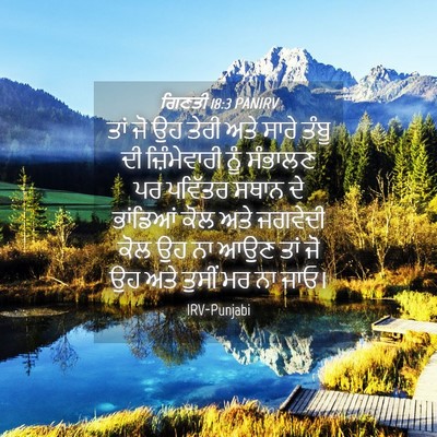 Picture 04 - ਗਿਣਤੀ 18:3 PANIRV - ਤਾਂ ਜੋ ਉਹ ਤੇਰੀ ਅਤੇ - Bible Verse Picture