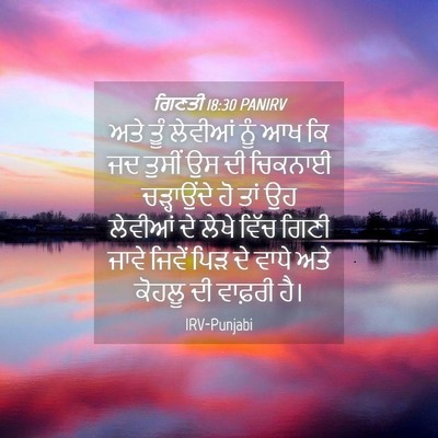Picture 04 - ਗਿਣਤੀ 18:30 PANIRV - ਅਤੇ ਤੂੰ ਲੇਵੀਆਂ ਨੂੰ - Bible Verse Picture