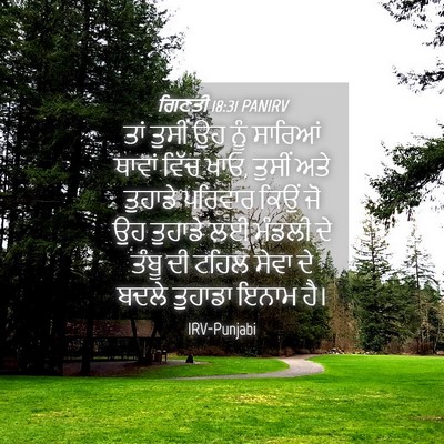 Picture 04 - ਗਿਣਤੀ 18:31 PANIRV - ਤਾਂ ਤੁਸੀਂ ਉਹ ਨੂੰ - Bible Verse Picture