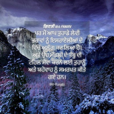 Picture 04 - ਗਿਣਤੀ 18:6 PANIRV - ਪਰ ਮੈਂ ਆਪ ਤੁਹਾਡੇ - Bible Verse Picture