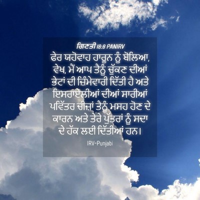 Picture 04 - ਗਿਣਤੀ 18:8 PANIRV - ਫੇਰ ਯਹੋਵਾਹ ਹਾਰੂਨ - Bible Verse Picture