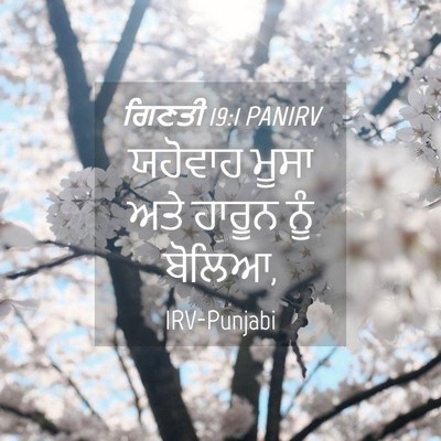Picture 04 - ਗਿਣਤੀ 19:1 PANIRV - ਯਹੋਵਾਹ ਮੂਸਾ ਅਤੇ - Bible Verse Picture