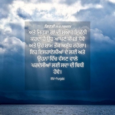 Picture 04 - ਗਿਣਤੀ 19:10 PANIRV - ਅਤੇ ਜਿਹੜਾ ਗਾਂ ਦੀ - Bible Verse Picture