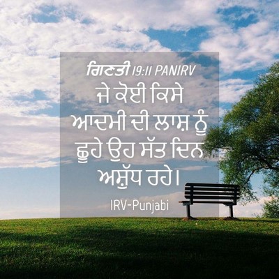 Picture 04 - ਗਿਣਤੀ 19:11 PANIRV - ਜੇ ਕੋਈ ਕਿਸੇ ਆਦਮੀ ਦੀ - Bible Verse Picture