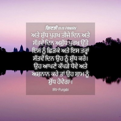 Picture 04 - ਗਿਣਤੀ 19:19 PANIRV - ਅਤੇ ਸ਼ੁੱਧ ਪੁਰਖ - Bible Verse Picture