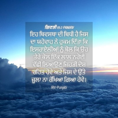 Picture 04 - ਗਿਣਤੀ 19:2 PANIRV - ਇਹ ਬਿਵਸਥਾ ਦੀ ਬਿਧੀ - Bible Verse Picture