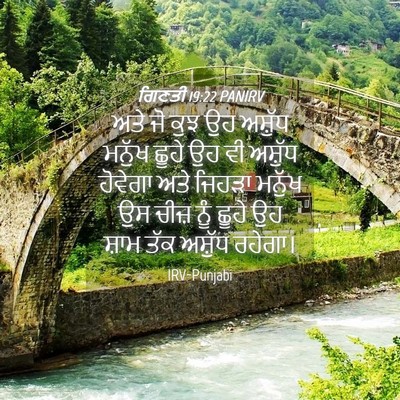 Picture 04 - ਗਿਣਤੀ 19:22 PANIRV - ਅਤੇ ਜੋ ਕੁਝ ਉਹ - Bible Verse Picture