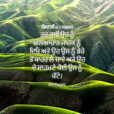 Picture 04 - ਗਿਣਤੀ 19:3 PANIRV - ਤਦ ਤੁਸੀਂ ਉਹ ਨੂੰ - Bible Verse Picture