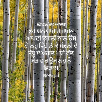 Picture 04 - ਗਿਣਤੀ 19:4 PANIRV - ਫੇਰ ਅਲਆਜ਼ਾਰ ਜਾਜਕ - Bible Verse Picture