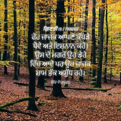 Picture 04 - ਗਿਣਤੀ 19:7 PANIRV - ਫੇਰ ਜਾਜਕ ਆਪਣੇ - Bible Verse Picture