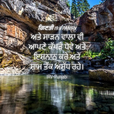 Picture 04 - ਗਿਣਤੀ 19:8 PANIRV - ਅਤੇ ਸਾੜਨ ਵਾਲਾ ਵੀ - Bible Verse Picture