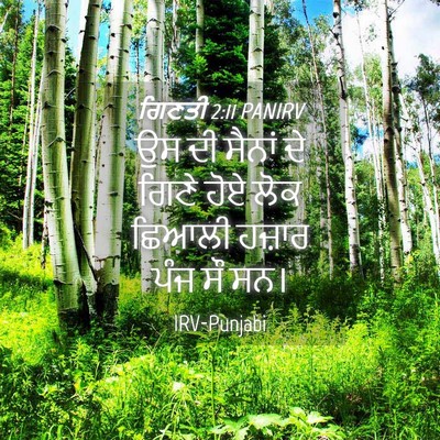 Picture 04 - ਗਿਣਤੀ 2:11 PANIRV - ਉਸ ਦੀ ਸੈਨਾਂ ਦੇ ਗਿਣੇ - Bible Verse Picture