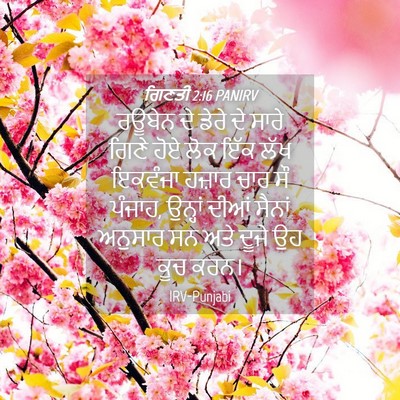 Picture 04 - ਗਿਣਤੀ 2:16 PANIRV - ਰਊਬੇਨ ਦੇ ਡੇਰੇ ਦੇ - Bible Verse Picture