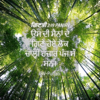 Picture 04 - ਗਿਣਤੀ 2:19 PANIRV - ਉਸ ਦੀ ਸੈਨਾਂ ਦੇ ਗਿਣੇ - Bible Verse Picture