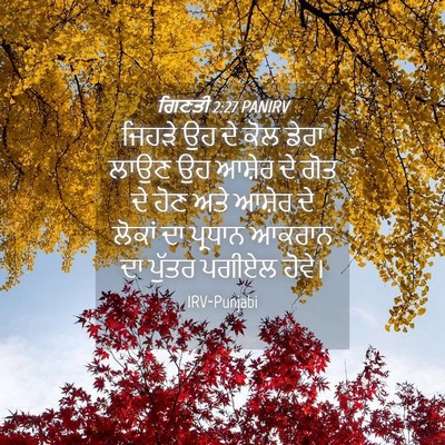 Picture 04 - ਗਿਣਤੀ 2:27 PANIRV - ਜਿਹੜੇ ਉਹ ਦੇ ਕੋਲ - Bible Verse Picture