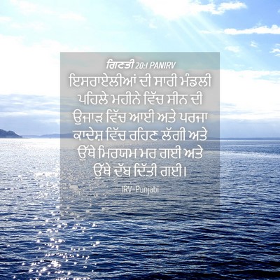 Picture 04 - ਗਿਣਤੀ 20:1 PANIRV - ਇਸਰਾਏਲੀਆਂ ਦੀ ਸਾਰੀ - Bible Verse Picture