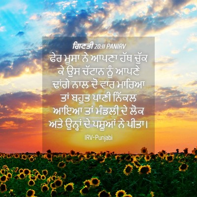 Picture 04 - ਗਿਣਤੀ 20:11 PANIRV - ਫੇਰ ਮੂਸਾ ਨੇ ਆਪਣਾ - Bible Verse Picture