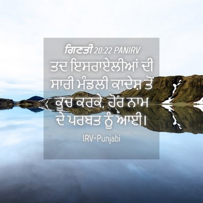 Picture 04 - ਗਿਣਤੀ 20:22 PANIRV - ਤਦ ਇਸਰਾਏਲੀਆਂ ਦੀ - Bible Verse Picture