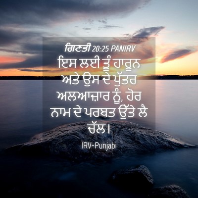 Picture 04 - ਗਿਣਤੀ 20:25 PANIRV - ਇਸ ਲਈ ਤੂੰ ਹਾਰੂਨ ਅਤੇ - Bible Verse Picture
