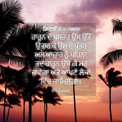 Picture 04 - ਗਿਣਤੀ 20:26 PANIRV - ਹਾਰੂਨ ਦੇ ਬਸਤਰ ਉਸ - Bible Verse Picture