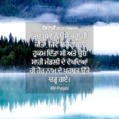 Picture 04 - ਗਿਣਤੀ 20:27 PANIRV - ਤਦ ਮੂਸਾ ਨੇ ਉਸੇ - Bible Verse Picture