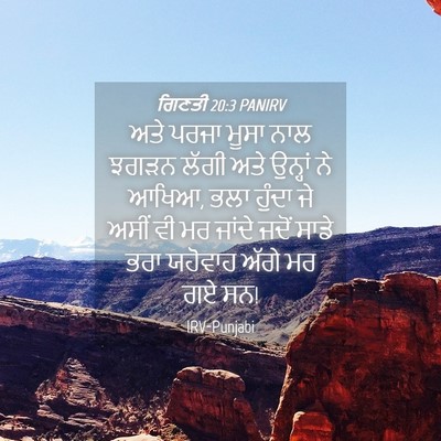Picture 04 - ਗਿਣਤੀ 20:3 PANIRV - ਅਤੇ ਪਰਜਾ ਮੂਸਾ ਨਾਲ - Bible Verse Picture