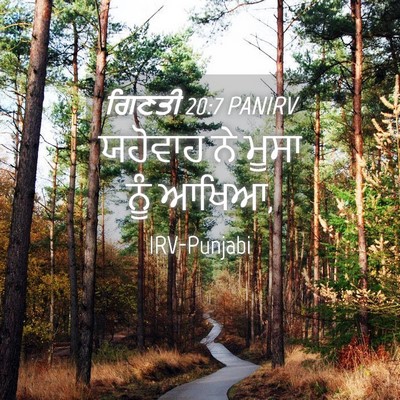Picture 04 - ਗਿਣਤੀ 20:7 PANIRV - ਯਹੋਵਾਹ ਨੇ ਮੂਸਾ ਨੂੰ - Bible Verse Picture