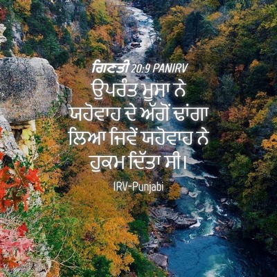Picture 04 - ਗਿਣਤੀ 20:9 PANIRV - ਉਪਰੰਤ ਮੂਸਾ ਨੇ - Bible Verse Picture