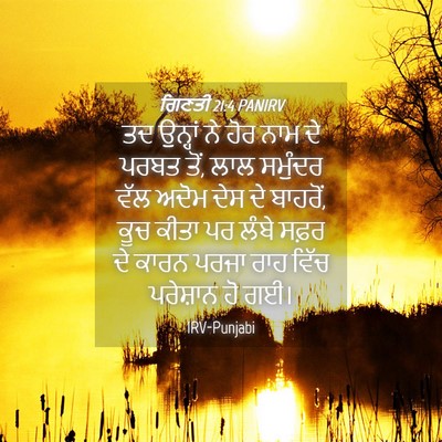 Picture 04 - ਗਿਣਤੀ 21:4 PANIRV - ਤਦ ਉਨ੍ਹਾਂ ਨੇ ਹੋਰ - Bible Verse Picture