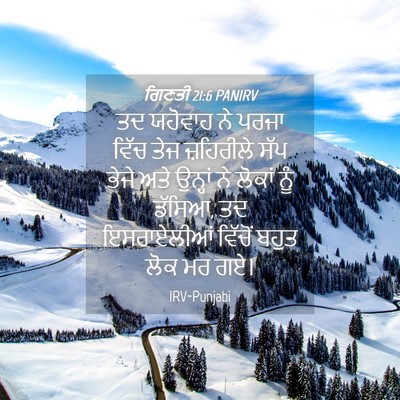 Picture 04 - ਗਿਣਤੀ 21:6 PANIRV - ਤਦ ਯਹੋਵਾਹ ਨੇ ਪਰਜਾ - Bible Verse Picture