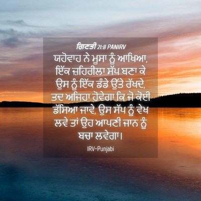 Picture 04 - ਗਿਣਤੀ 21:8 PANIRV - ਯਹੋਵਾਹ ਨੇ ਮੂਸਾ ਨੂੰ - Bible Verse Picture
