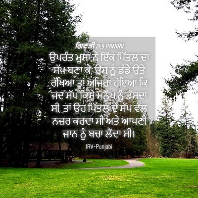 Picture 04 - ਗਿਣਤੀ 21:9 PANIRV - ਉਪਰੰਤ ਮੂਸਾ ਨੇ ਇੱਕ - Bible Verse Picture