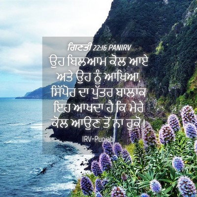 Picture 04 - ਗਿਣਤੀ 22:16 PANIRV - ਉਹ ਬਿਲਆਮ ਕੋਲ ਆਏ ਅਤੇ - Bible Verse Picture