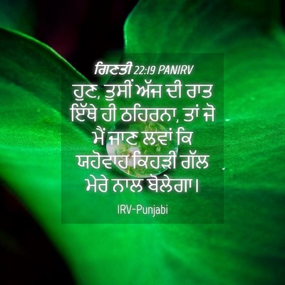 Picture 04 - ਗਿਣਤੀ 22:19 PANIRV - ਹੁਣ, ਤੁਸੀਂ ਅੱਜ ਦੀ - Bible Verse Picture