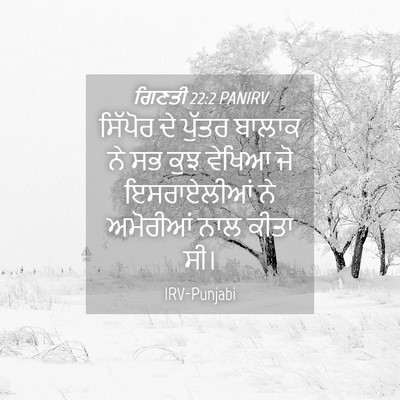 Picture 04 - ਗਿਣਤੀ 22:2 PANIRV - ਸਿੱਪੋਰ ਦੇ ਪੁੱਤਰ - Bible Verse Picture