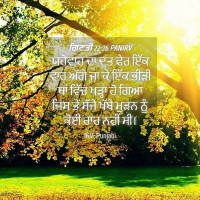 Picture 04 - ਗਿਣਤੀ 22:26 PANIRV - ਯਹੋਵਾਹ ਦਾ ਦੂਤ ਫੇਰ - Bible Verse Picture