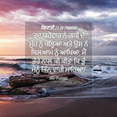 Picture 04 - ਗਿਣਤੀ 22:28 PANIRV - ਤਦ ਯਹੋਵਾਹ ਨੇ ਗਧੀ ਦੇ - Bible Verse Picture