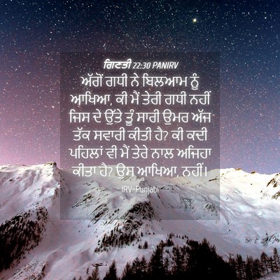 Picture 04 - ਗਿਣਤੀ 22:30 PANIRV - ਅੱਗੋਂ ਗਧੀ ਨੇ ਬਿਲਆਮ - Bible Verse Picture