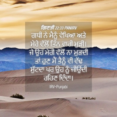 Picture 04 - ਗਿਣਤੀ 22:33 PANIRV - ਗਧੀ ਨੇ ਮੈਨੂੰ ਵੇਖਿਆ - Bible Verse Picture
