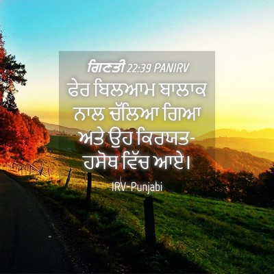 Picture 04 - ਗਿਣਤੀ 22:39 PANIRV - ਫੇਰ ਬਿਲਆਮ ਬਾਲਾਕ - Bible Verse Picture