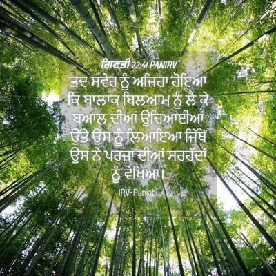 Picture 04 - ਗਿਣਤੀ 22:41 PANIRV - ਤਦ ਸਵੇਰ ਨੂੰ ਅਜਿਹਾ - Bible Verse Picture