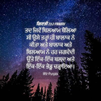 Picture 04 - ਗਿਣਤੀ 23:2 PANIRV - ਤਦ ਜਿਵੇਂ ਬਿਲਆਮ - Bible Verse Picture