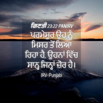 Picture 04 - ਗਿਣਤੀ 23:22 PANIRV - ਪਰਮੇਸ਼ੁਰ ਉਹ ਨੂੰ - Bible Verse Picture
