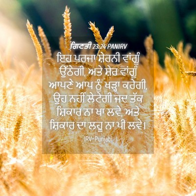 Picture 04 - ਗਿਣਤੀ 23:24 PANIRV - ਇਹ ਪਰਜਾ ਸ਼ੇਰਨੀ - Bible Verse Picture