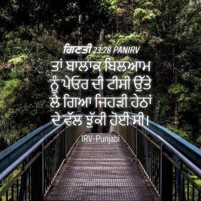 Picture 04 - ਗਿਣਤੀ 23:28 PANIRV - ਤਾਂ ਬਾਲਾਕ ਬਿਲਆਮ - Bible Verse Picture