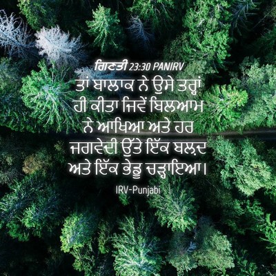 Picture 04 - ਗਿਣਤੀ 23:30 PANIRV - ਤਾਂ ਬਾਲਾਕ ਨੇ ਉਸੇ - Bible Verse Picture