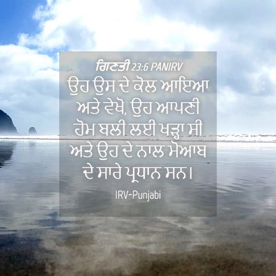 Picture 04 - ਗਿਣਤੀ 23:6 PANIRV - ਉਹ ਉਸ ਦੇ ਕੋਲ ਆਇਆ - Bible Verse Picture